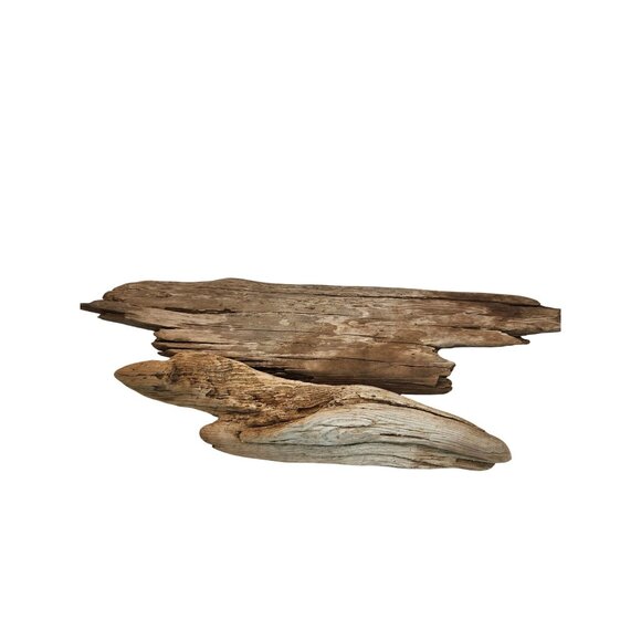 Large Natural Driftwood Pieces For Crafting & Décor  Perfect For Air Plants Or O - Picture 1 of 12